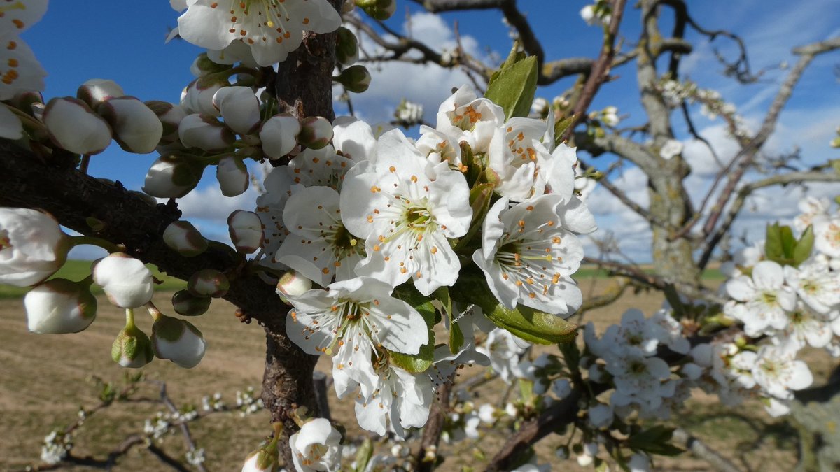 Ana María Herrero tweet media