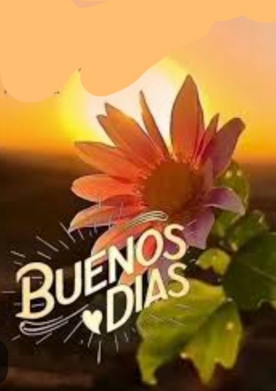 Aprovecha este nuevo día ; esta es una oportunidad  para agradecer; compartir y SER FELIZ.