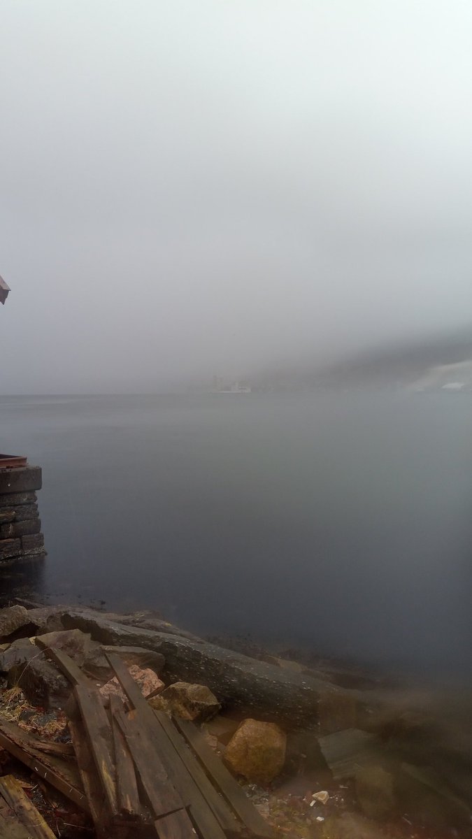 This house is haunted tweet media