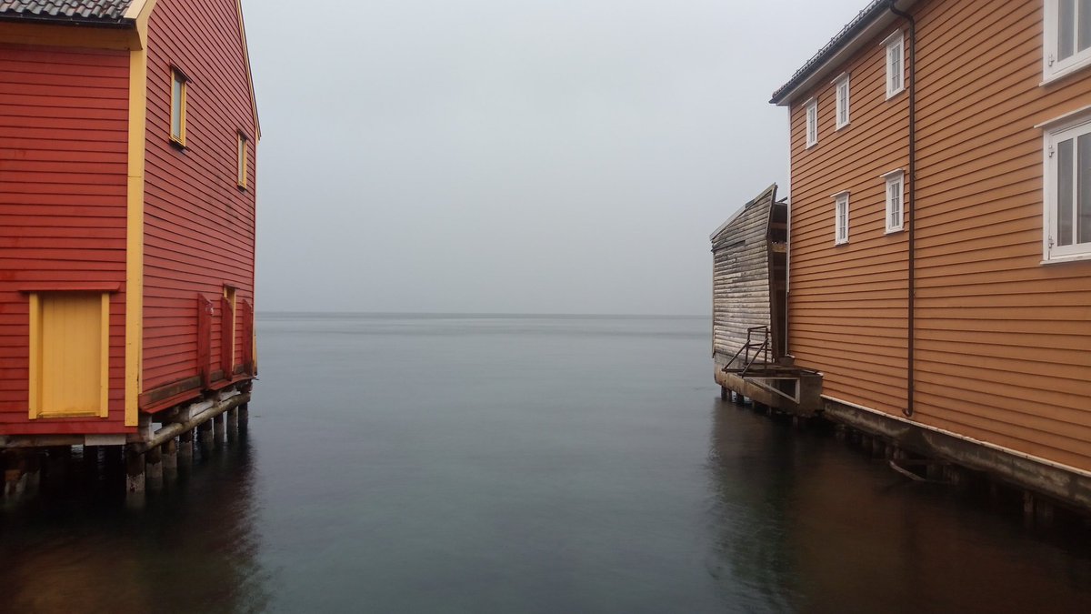 This house is haunted tweet media