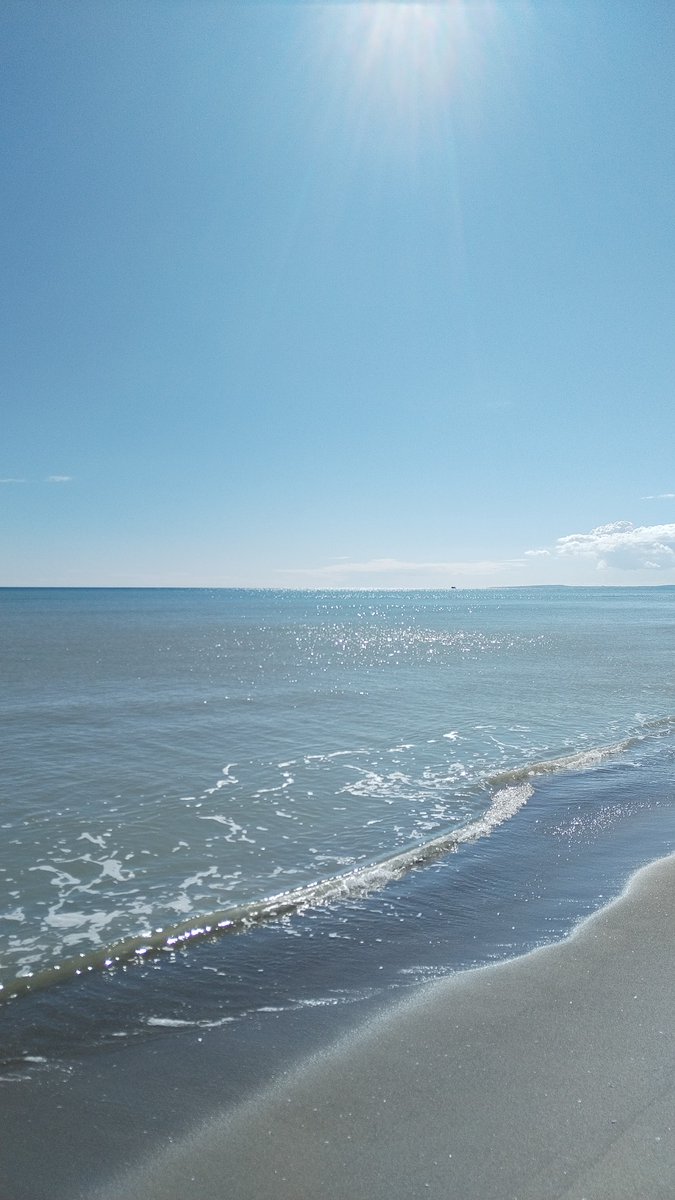 ghirigoro rogighiro  tweet media