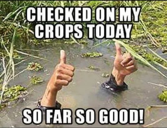 jaosef.eth tweet media