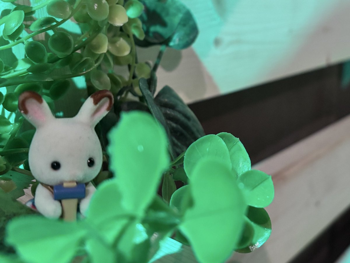 ましゅー tweet media