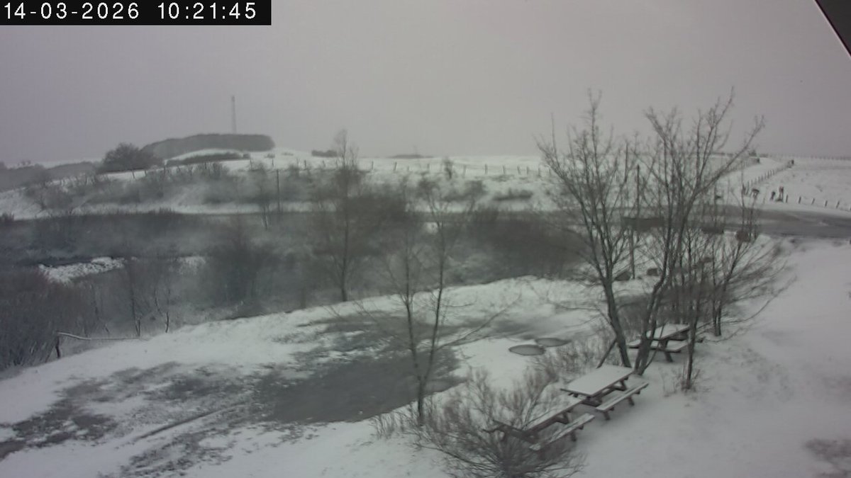 Bonjour d'Aubrac
En direct des hautes terres. C'est le retour de la neige