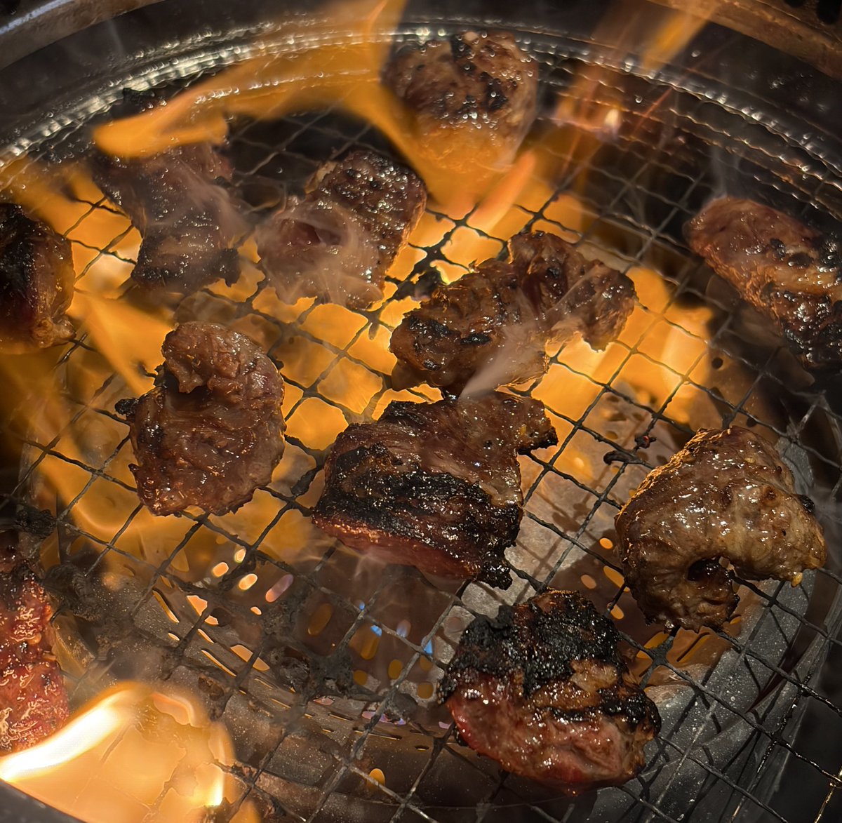 肉燃ゆ‼️