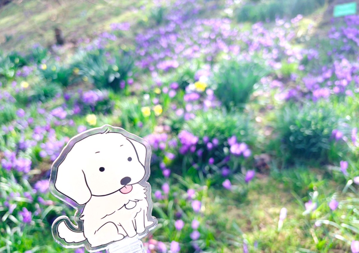 トオル🫧 tweet media