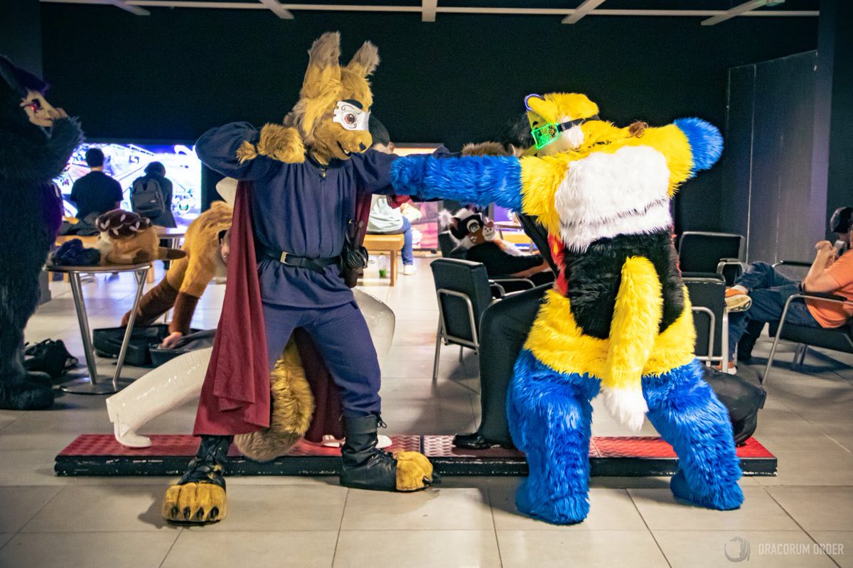 Dracorum Order 🧧 tweet media