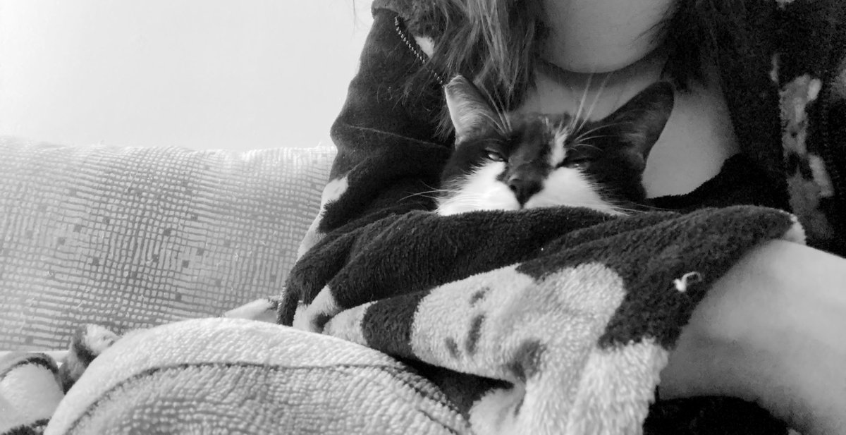 Πρέσβειρα Κακής Θελήσεως της Γατέσκο tweet media