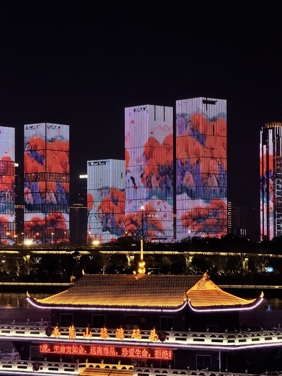 Caleb Franzen tweet media