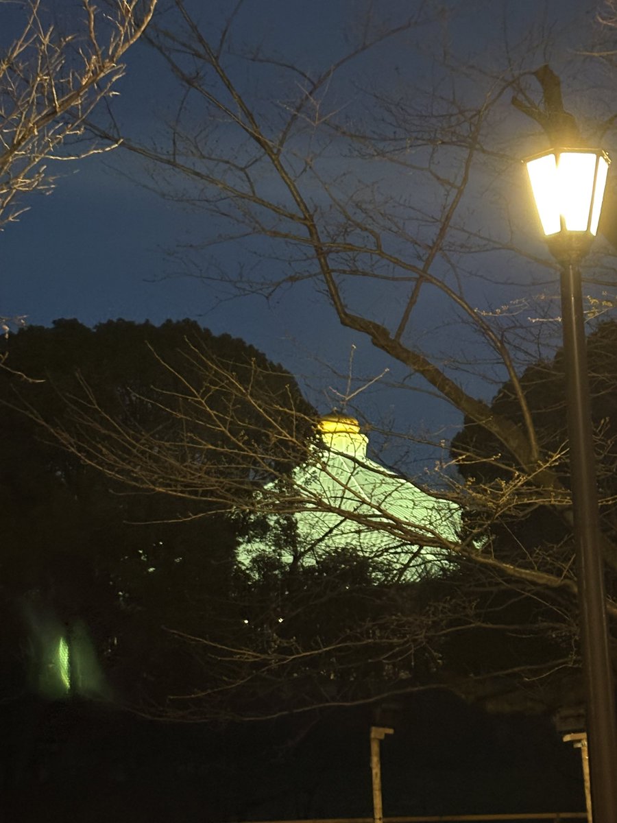 20260314 sat

GEZAN 
日本武道館 単独公演
 『独炎』

#GEZAN 
#日本武道館