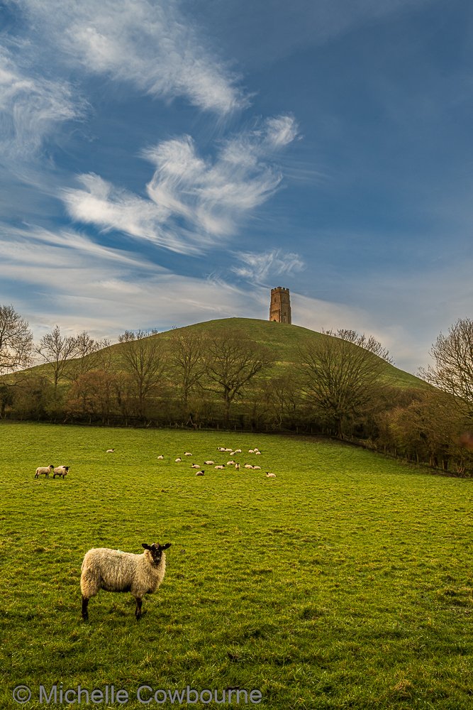 Michelle Cowbourne tweet media