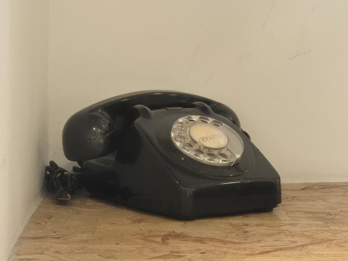 athina fokidou tweet media