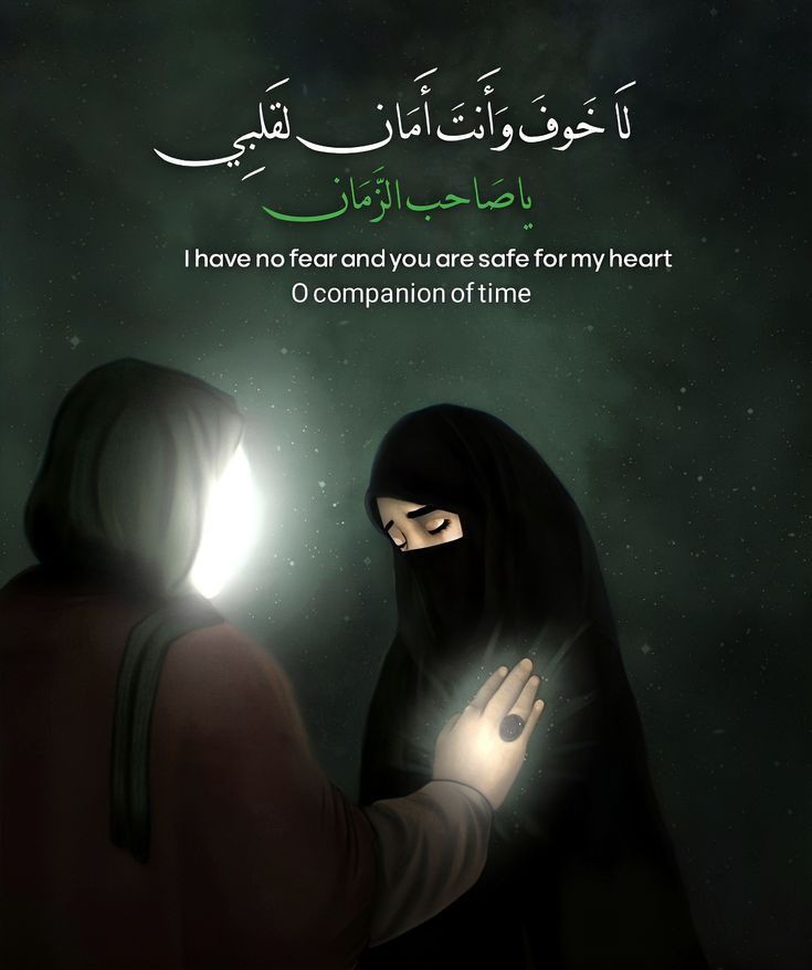 Fatema Haidery tweet media