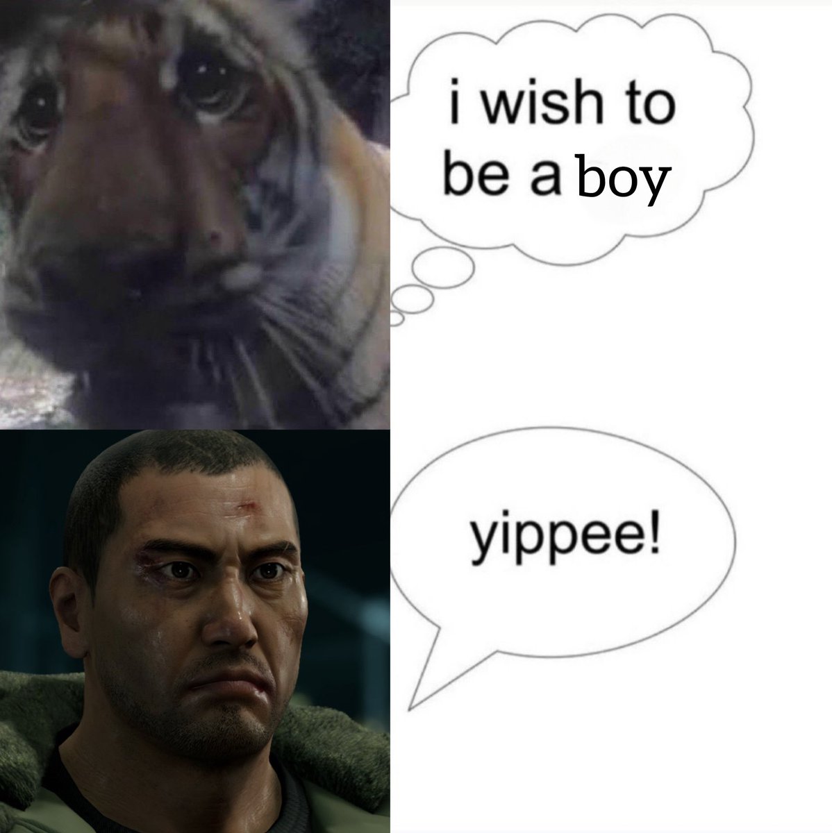 Lara 🐯🎋 tweet media