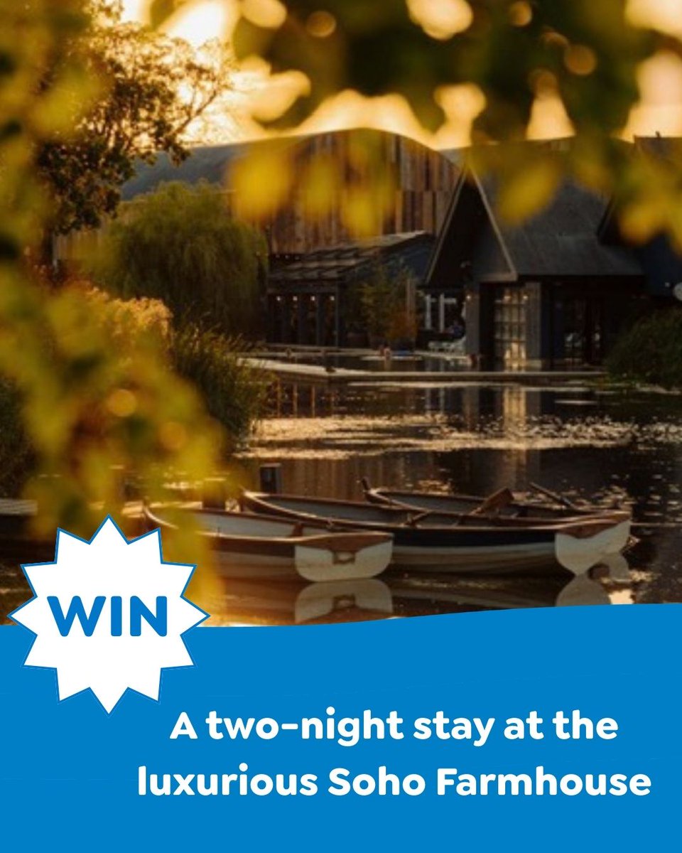 Seashell tweet media