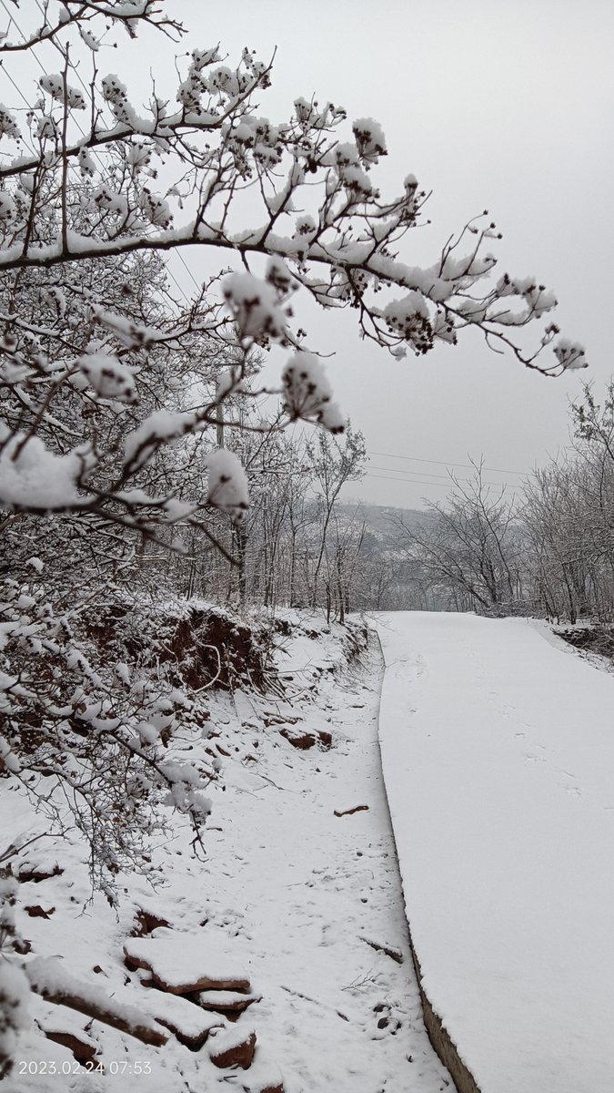 Charles Taylor tweet media