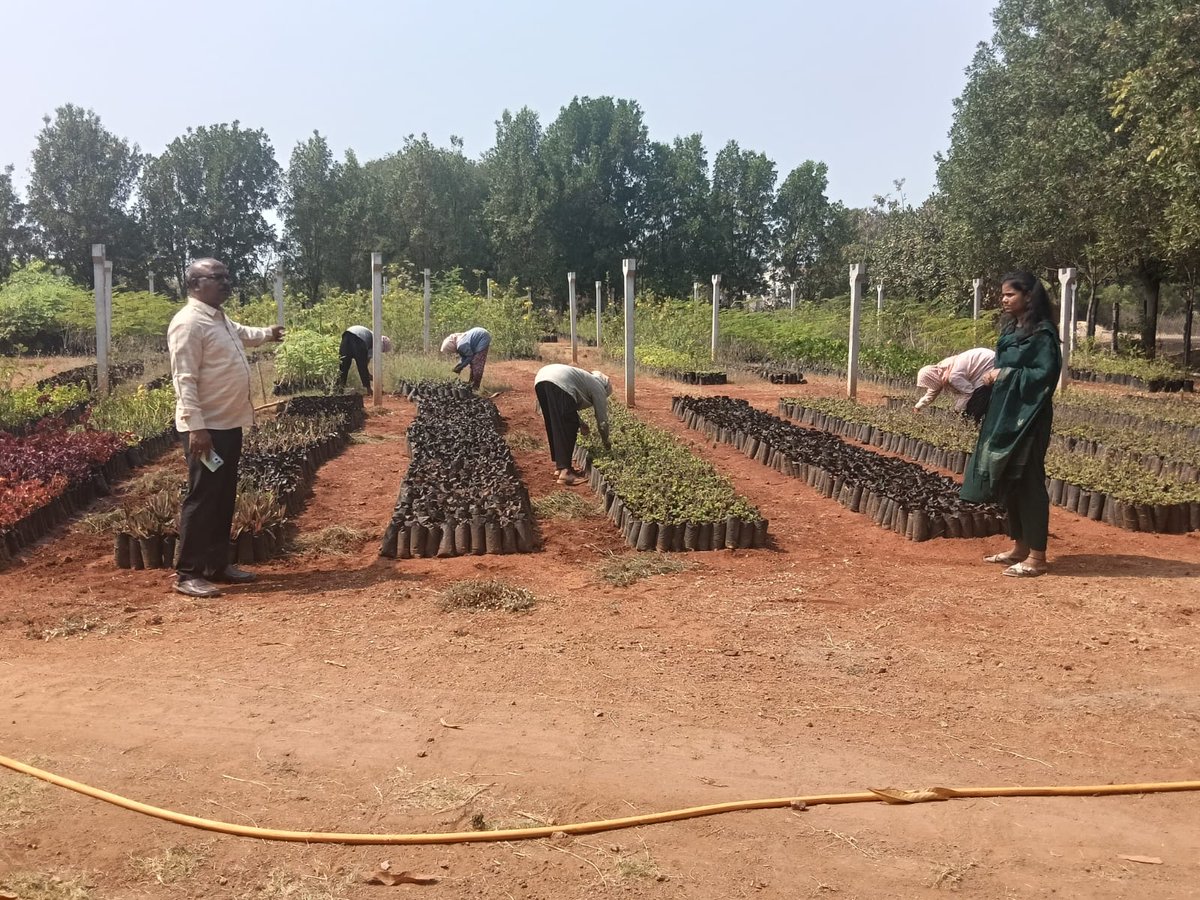 ChoppadandiMC's tweet photo. As apart of Praja Palana - Pragathi Pranalika -99 days programNurserys @SwachhBharatGo
@SwachhBharat
@MoHUA_India
@tksreedevi
@cdmatelangana
@TelanganaCMO
@RoopaMishra77 https://t.co/B9S4y94lF0