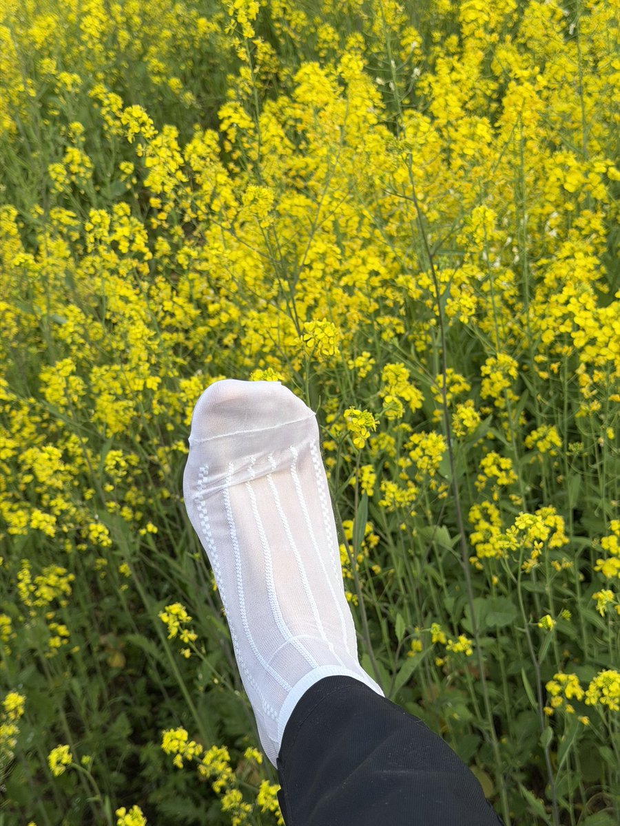 骑着蜗牛追导弹 tweet media