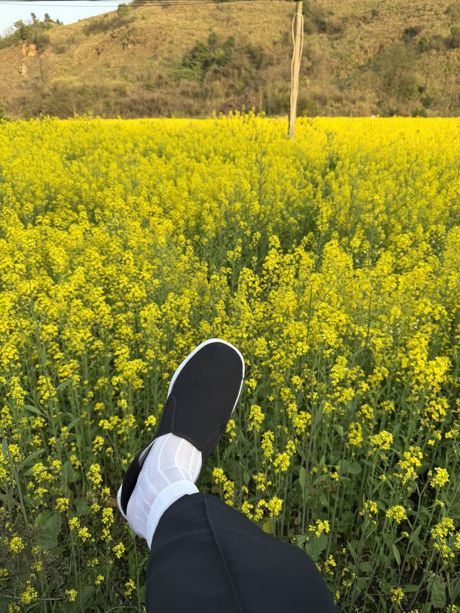 骑着蜗牛追导弹 tweet media