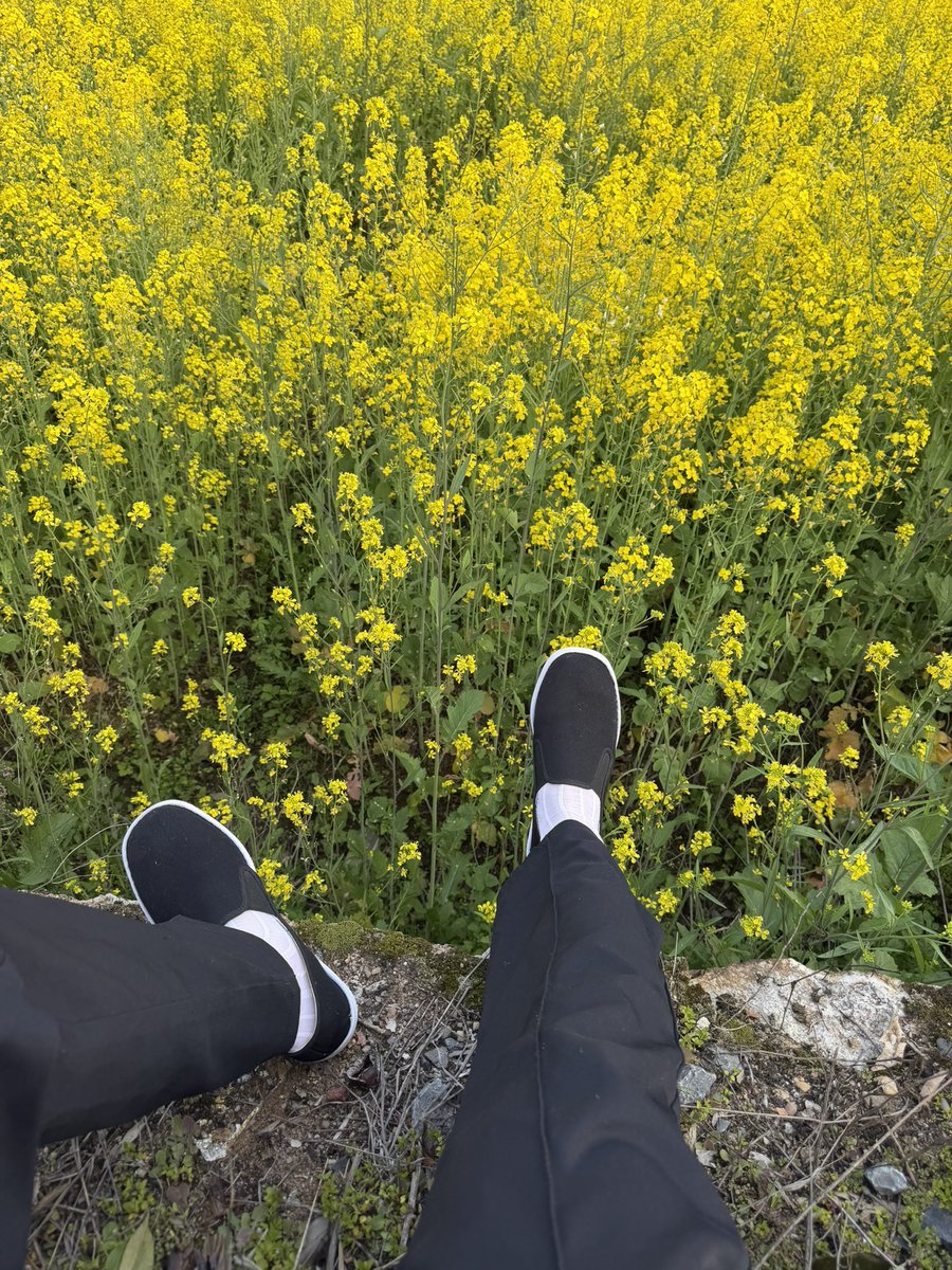 骑着蜗牛追导弹 tweet media