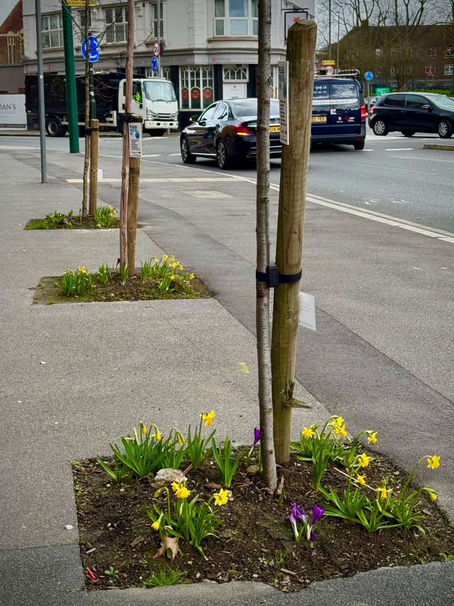 Sebastian Budner tweet media