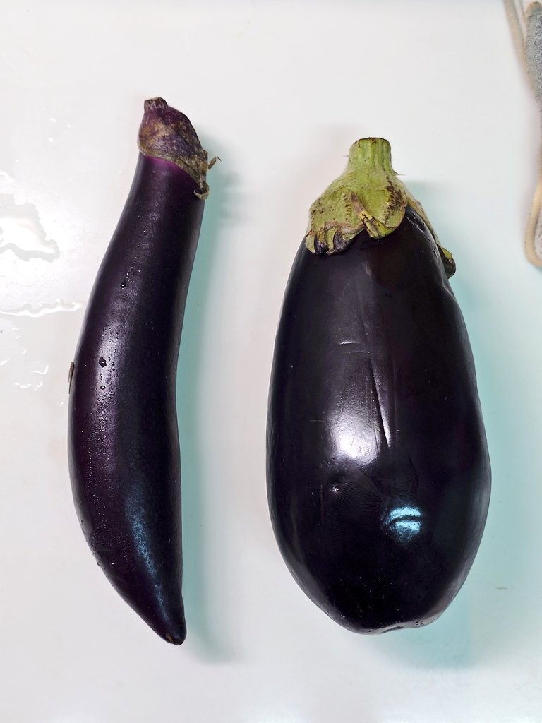 NoRi/ImpCats@GVB tweet media