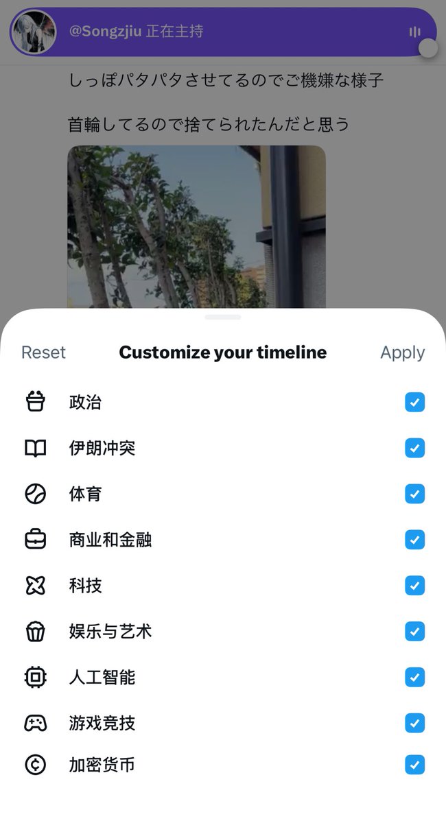思月 tweet media