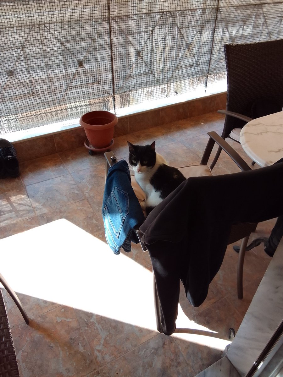 Ξέχασα 😁
Mornings 🖤