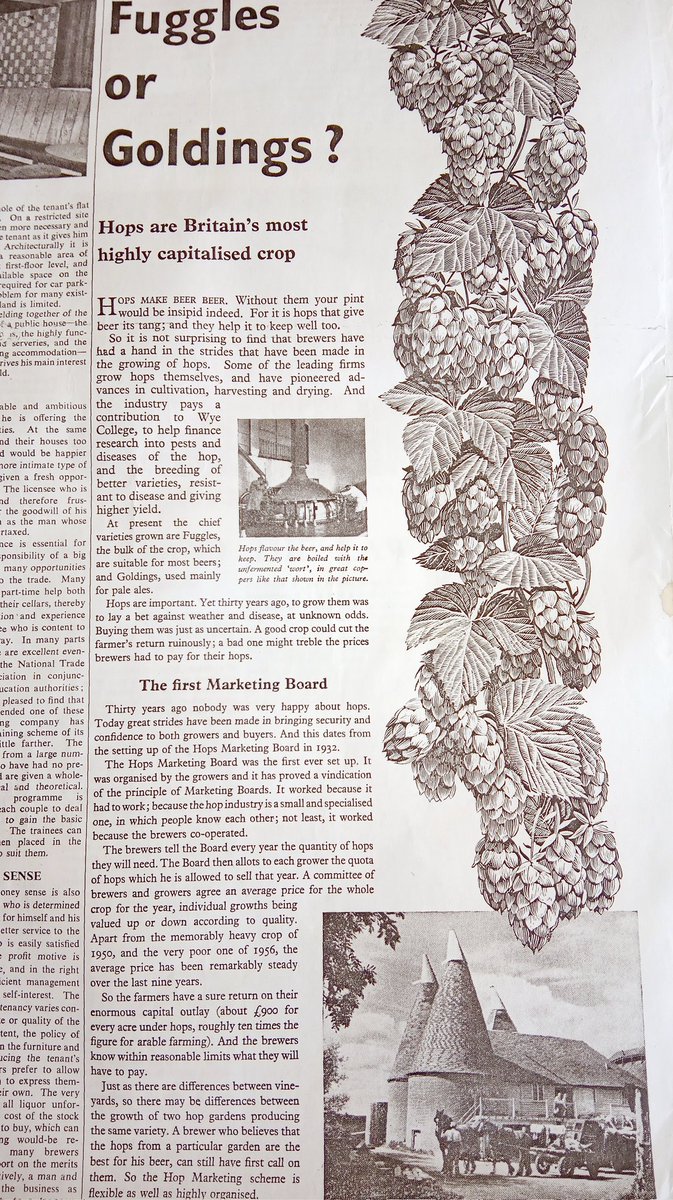 NigelSommelier's tweet image. Started working my way through the copy of The Times 'Beer in Britain's Supplement from April 1958. Here are a few more images, that I've selected, which might be of interest to some. Taxes, #barley, #hops and the local #pub🙂🍻