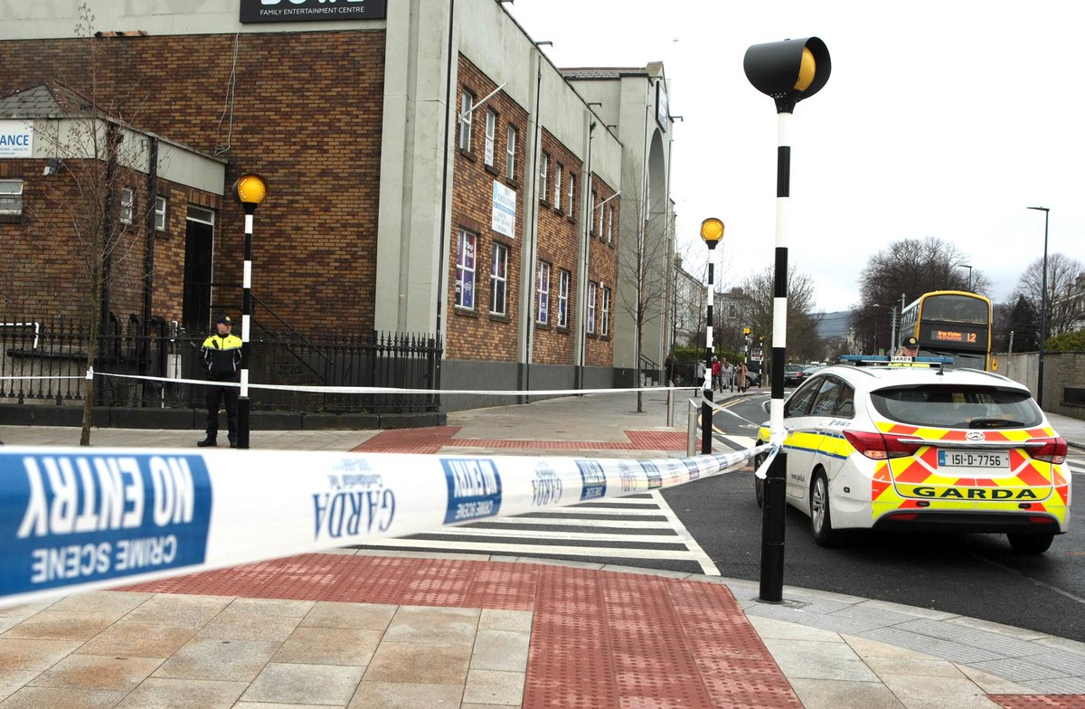 Shayne Phelan tweet media