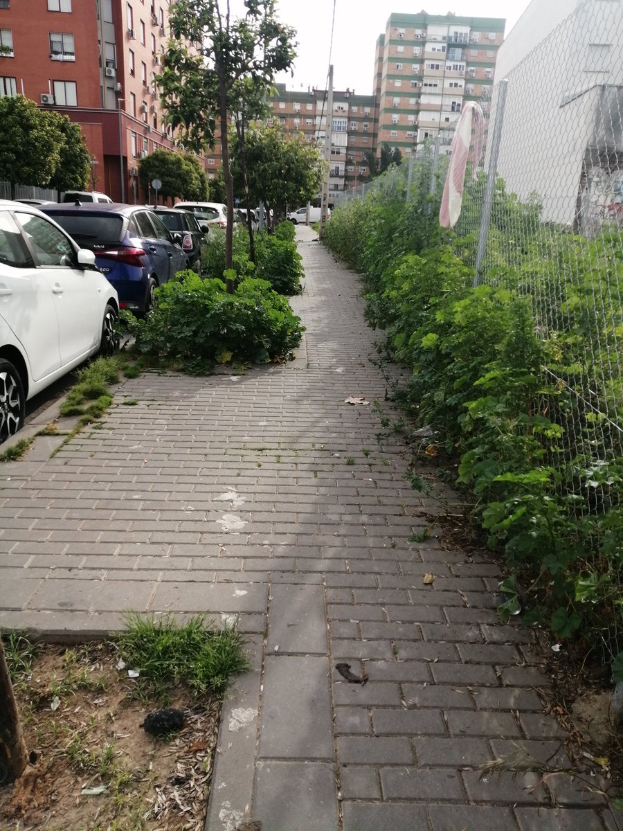 Asociación de vecinos Contadores de Sevilla tweet media