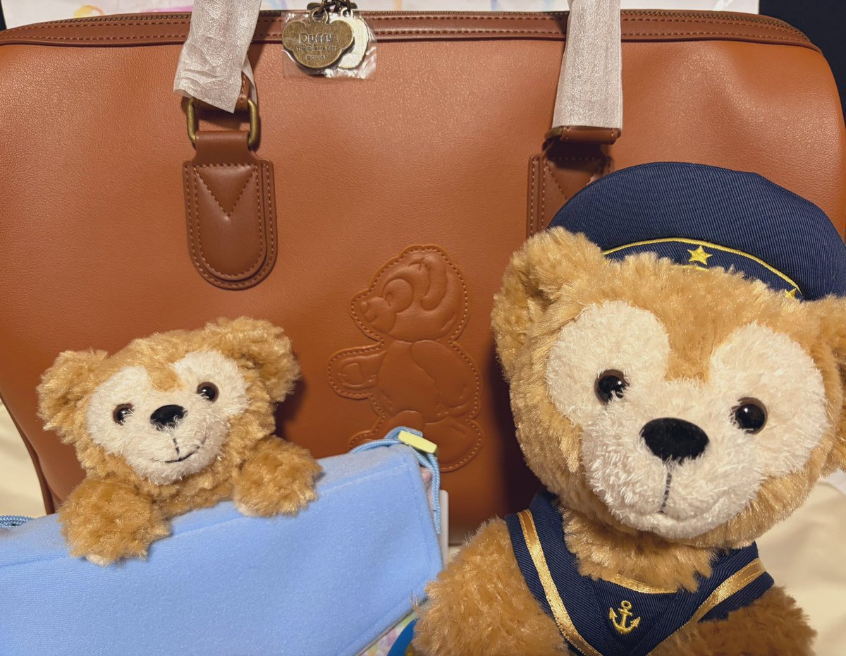 TOKYOディズニーリゾートFAMILY tweet media