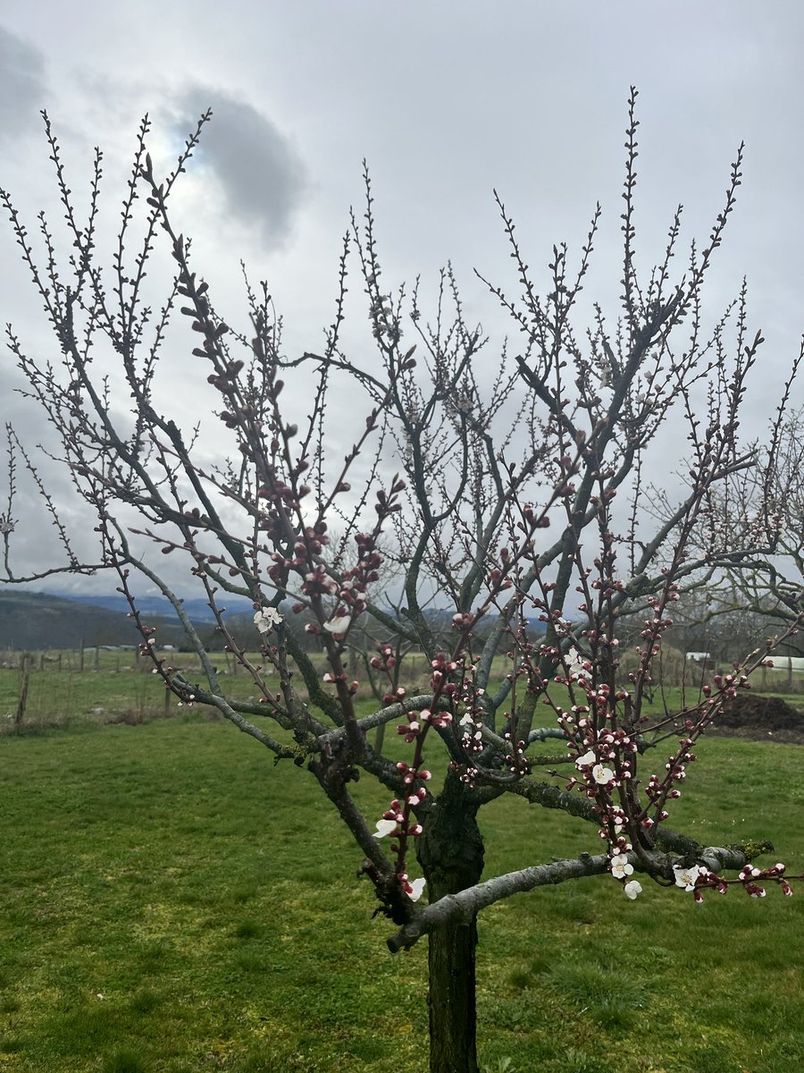 RH 🍀🚜🐮 💛💙 🤡 😇👿 🥂 tweet media