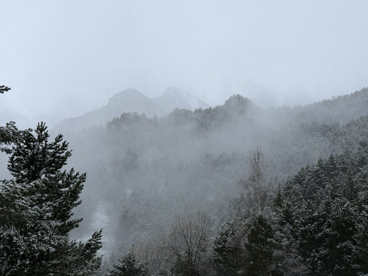 Ferran88_meteo's tweet photo. Matí de neu a #Setcases 🌨️🌨️ @meteocat @3CatInfoelTemps @alexmegapc @TomasMolinaB @mauri_francesc @tempsdemeteo https://t.co/tTUUxxSxRx