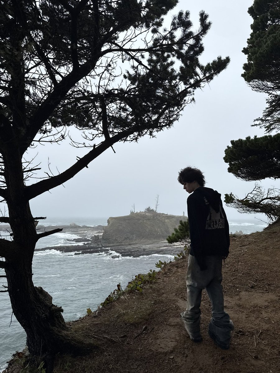 Arctic Rocco tweet media