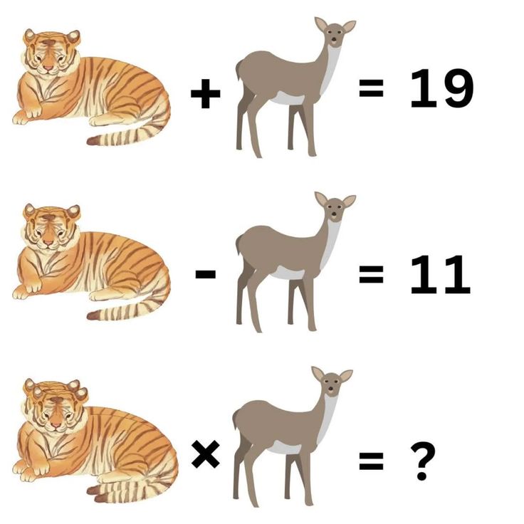 Dr Sania 2🇺🇲 tweet media