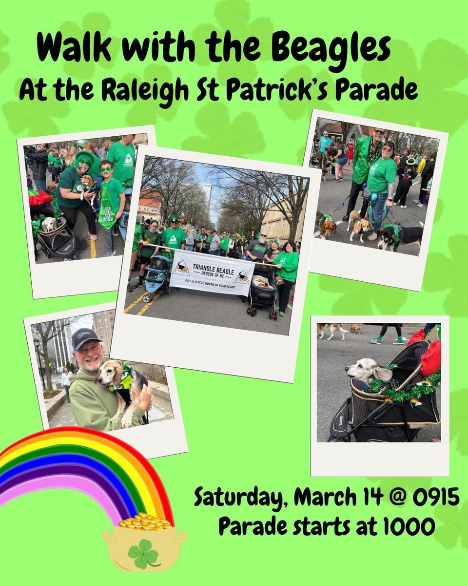 TriBeagles tweet media