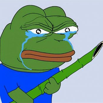 맹금류에요🦅🦉 tweet media