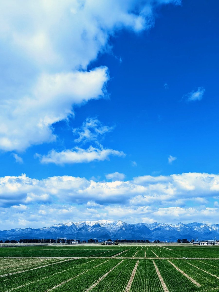 shigatoco's tweet photo. 畑に広がる、春の色

Photo by chinchiro_rin_rin

Location：滋賀県
Date：UnKnown

この投稿は、Instagramでの投稿をXでリポストしています！
滋賀の魅力的な風景は、しがトコInstagramもチェックしてみてね。 https://t.co/28kj6TORr6