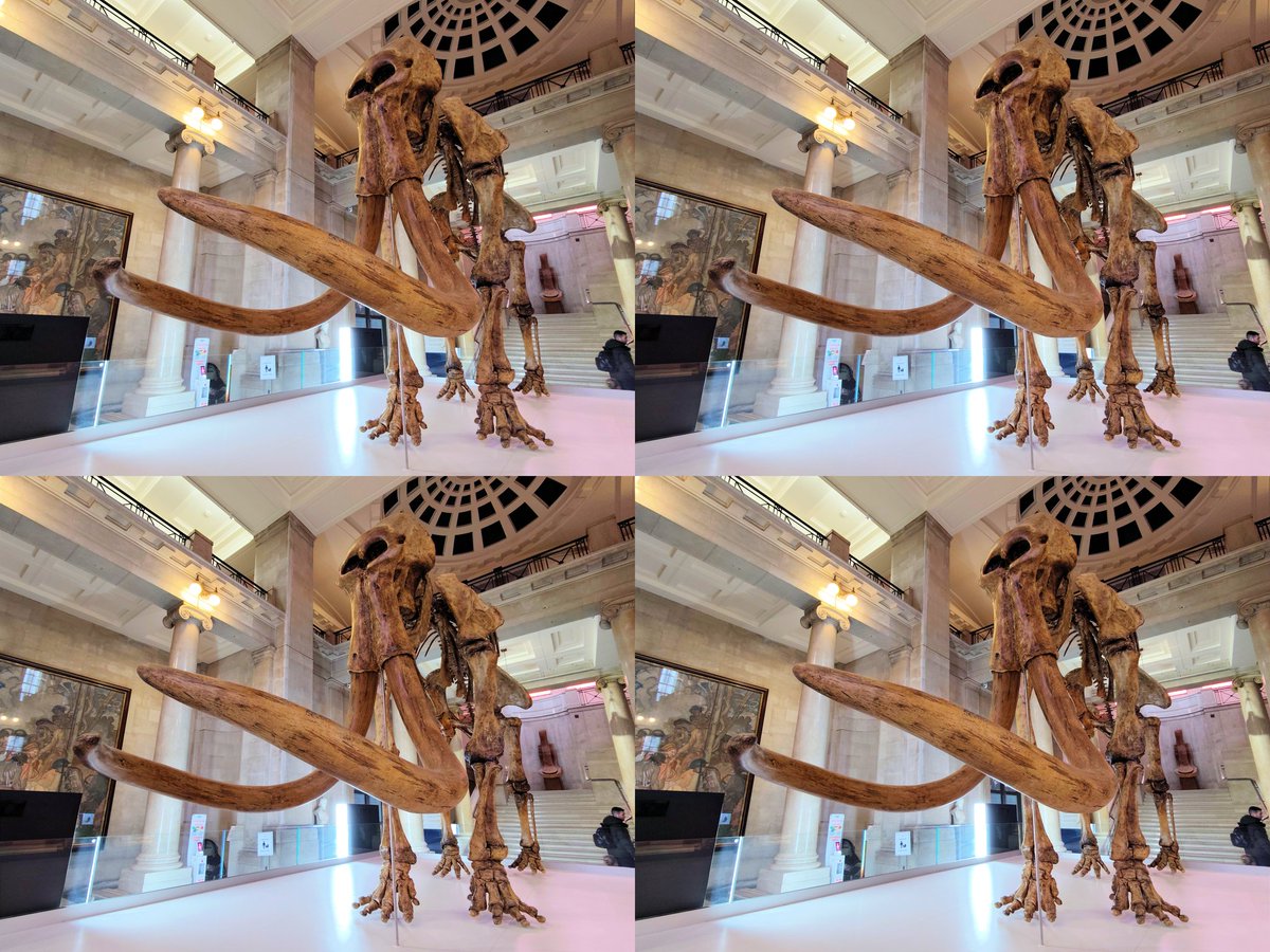 Tweedee Thomas tweet media