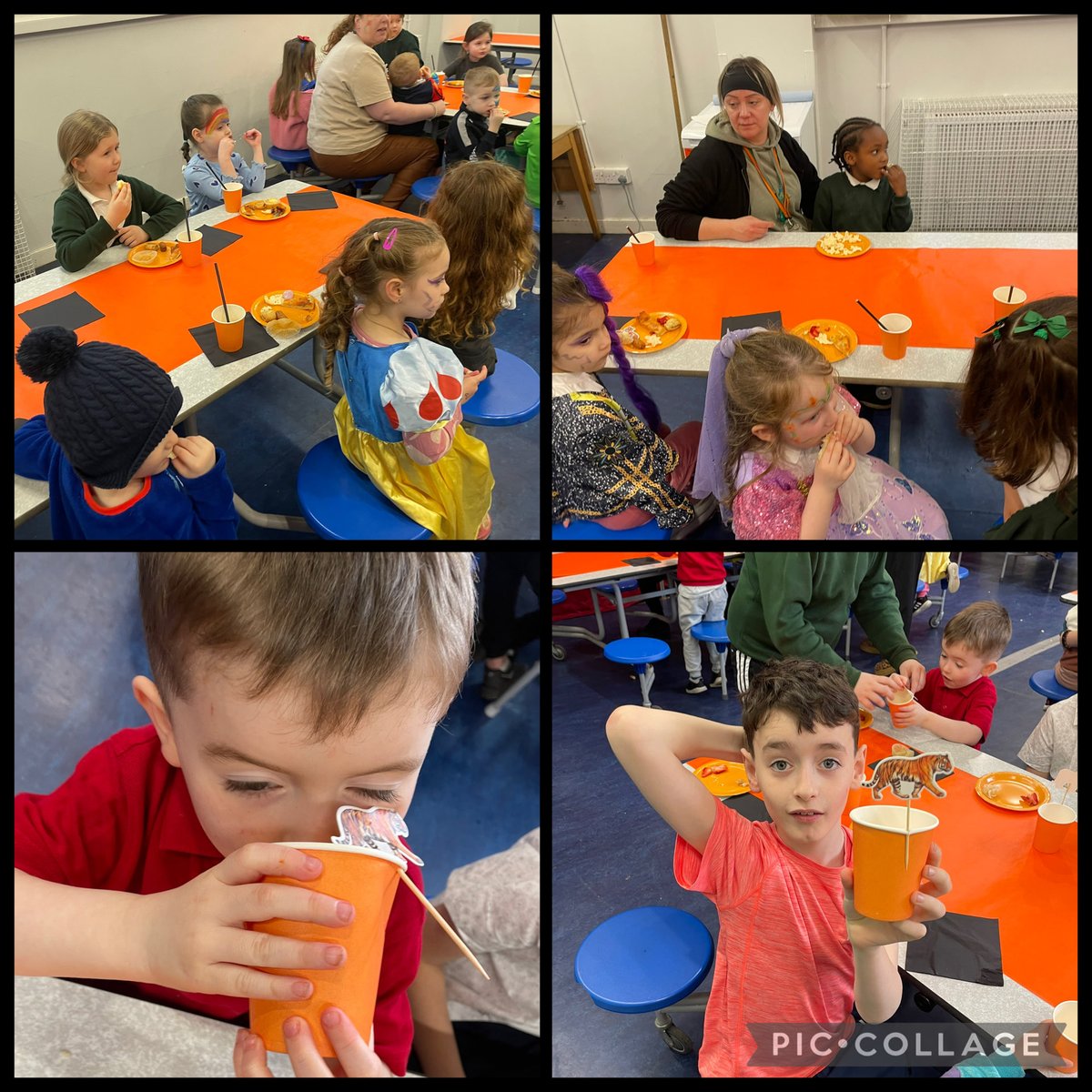 St Columbas Primary School tweet media