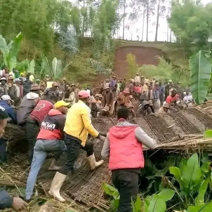 Kindeya Gebrehiwot, PhD, Prof tweet media