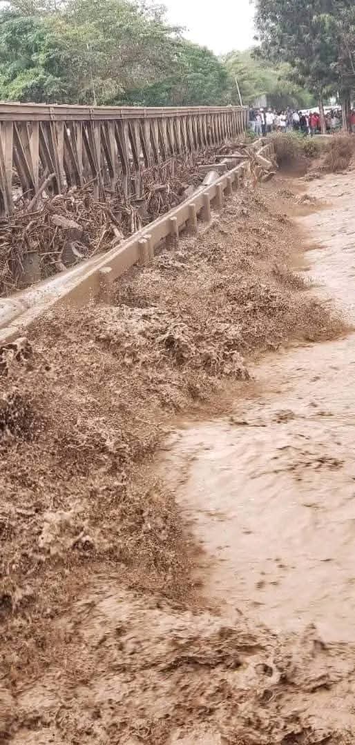 Kindeya Gebrehiwot, PhD, Prof tweet media