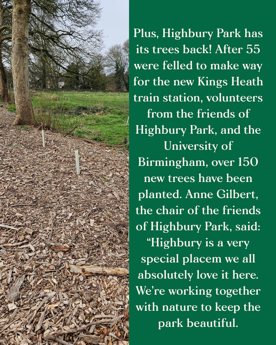 Birmingham Dispatch tweet media