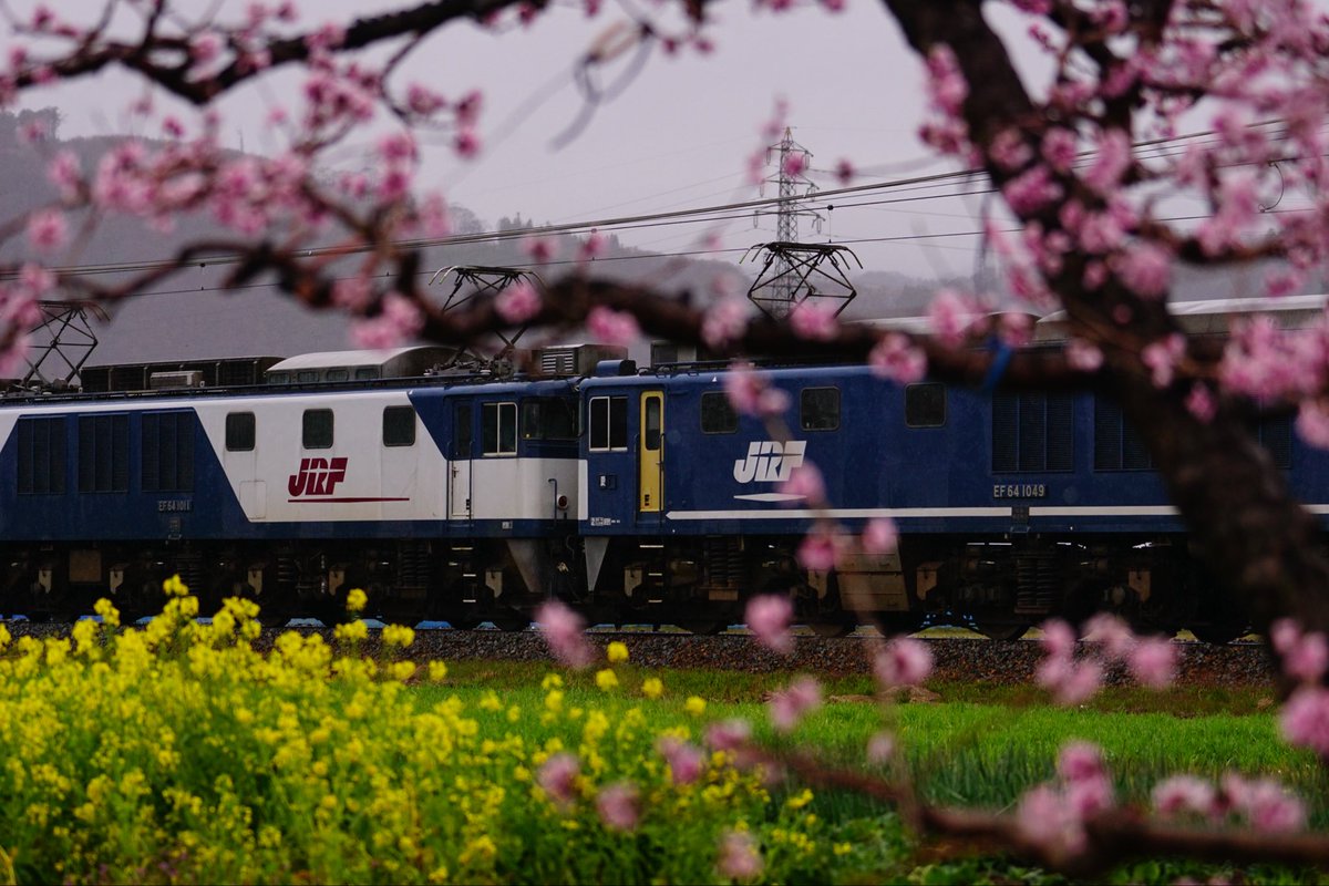 Railways6477's tweet photo. 長野地区のロクヨンの運転が終わってしまうんですね。。私はこの色が好きでした。正面から見ても更新色より青多めがポイント高い https://t.co/zMgqlxFkyE