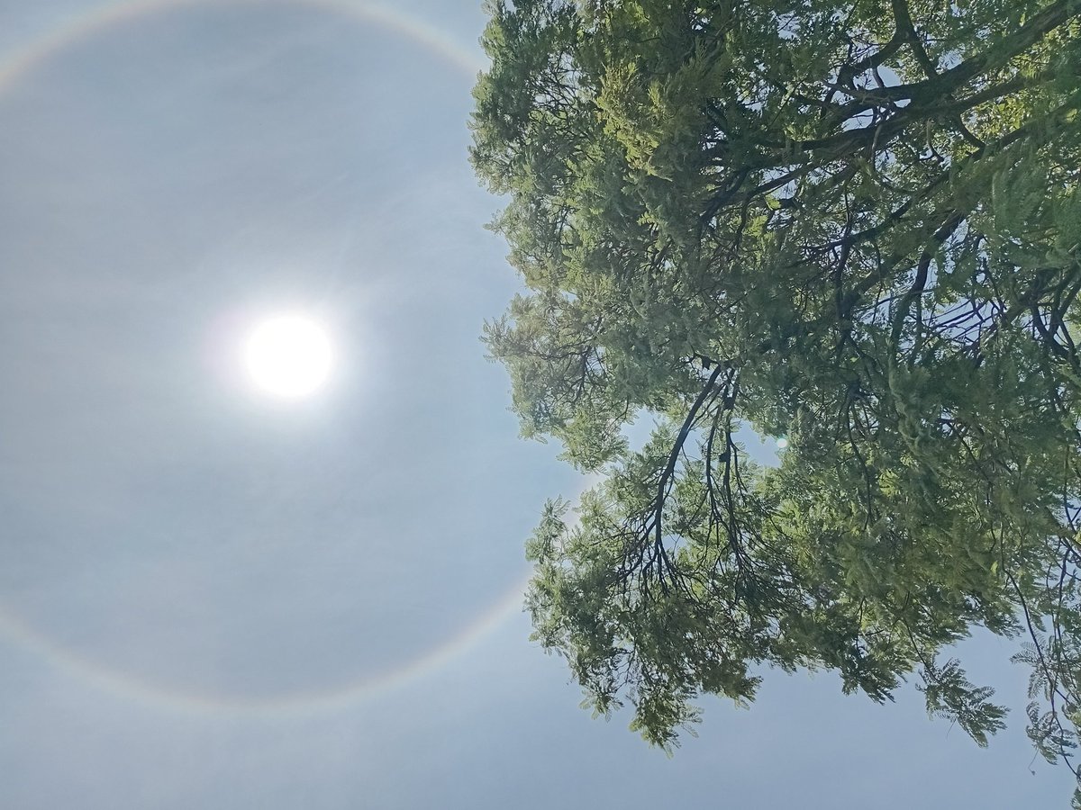 p!e thong tweet media