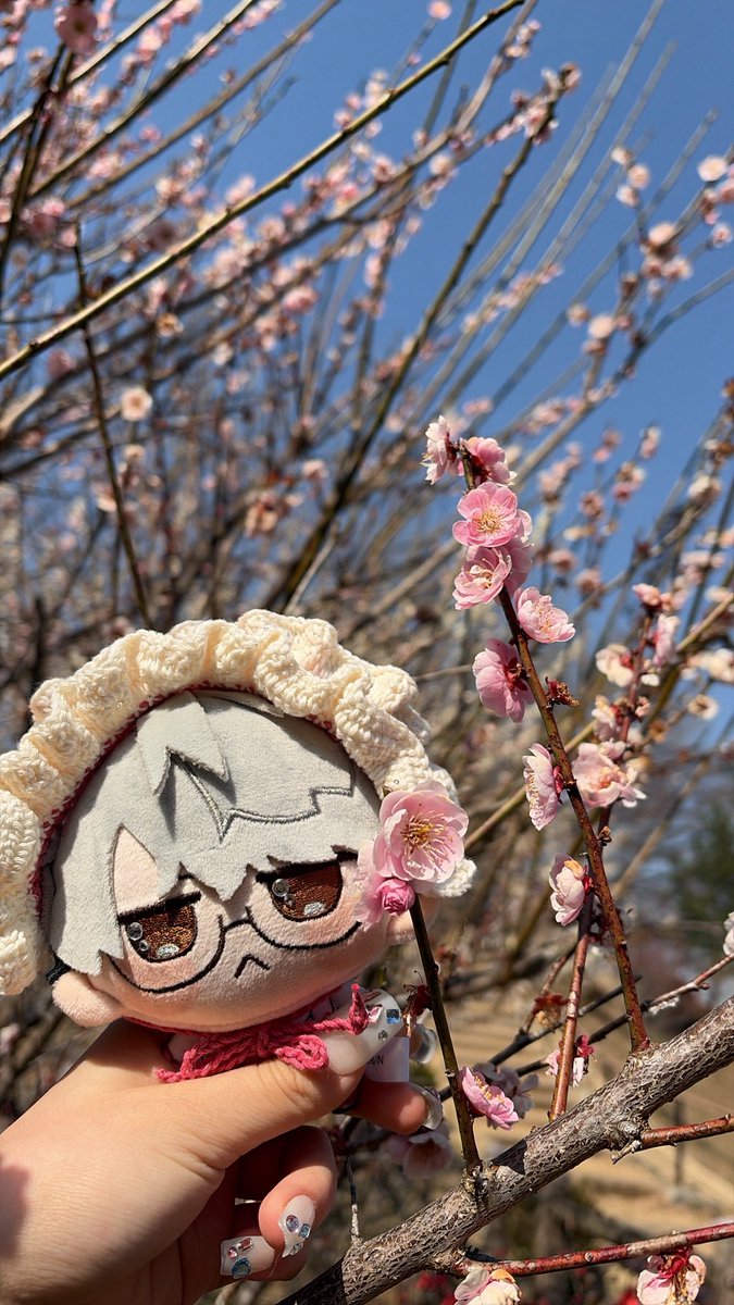 bo_____ta___'s tweet photo. #にじまるっとが見られるタグ
春だね先生 https://t.co/fuC1KytD2z