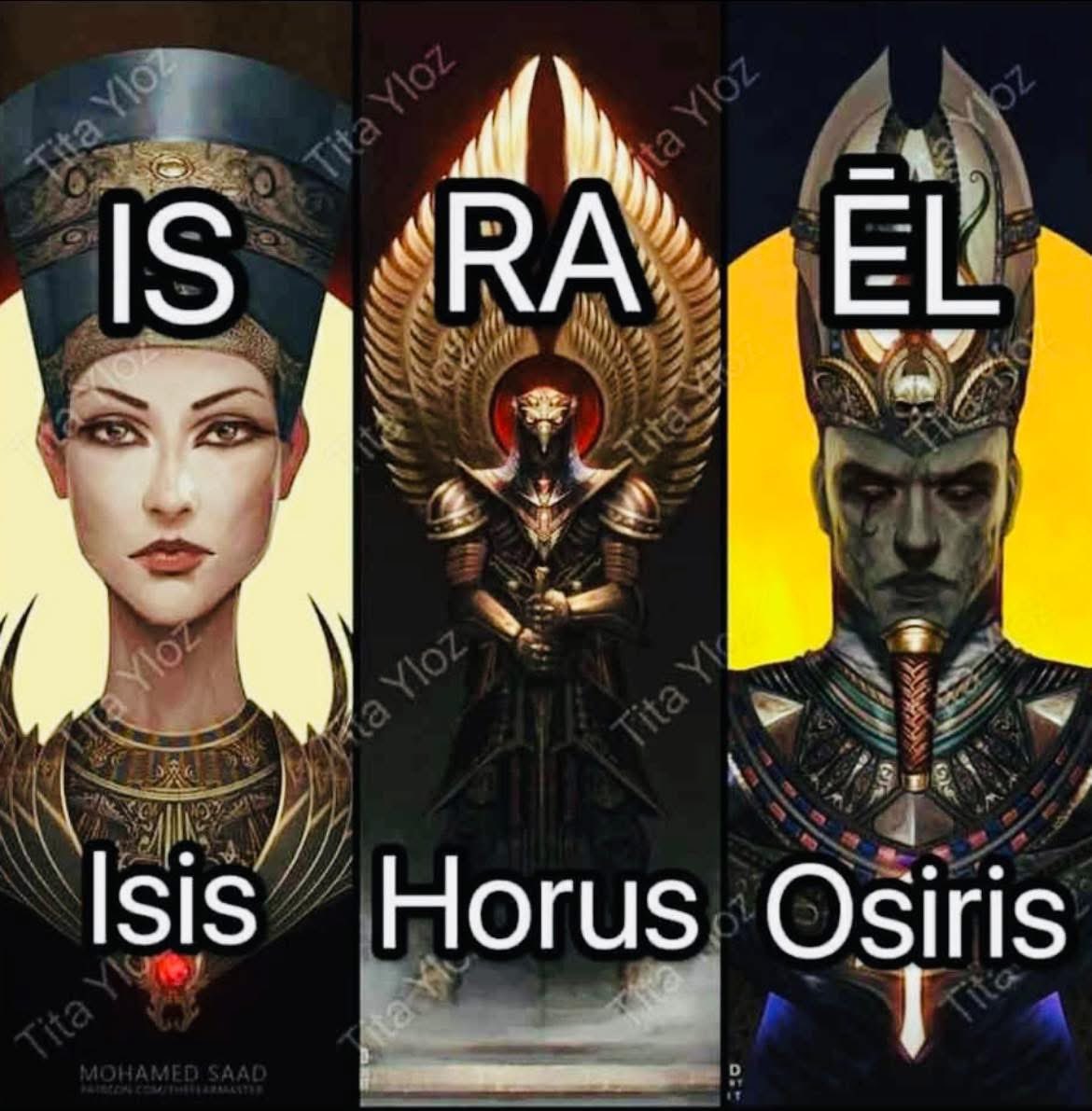 🧬Maxpein🧬 tweet media