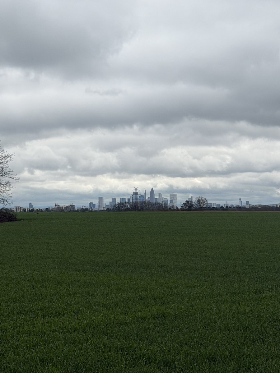 Bakuramaus Pieps tweet media