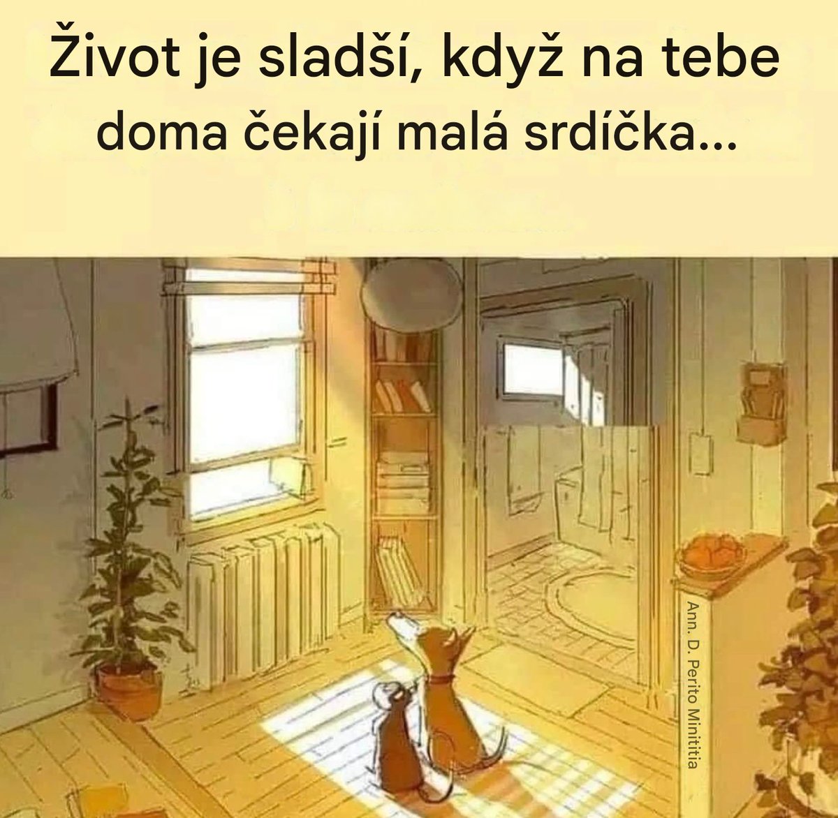 Gee2eR's tweet image. #zviratka #domov